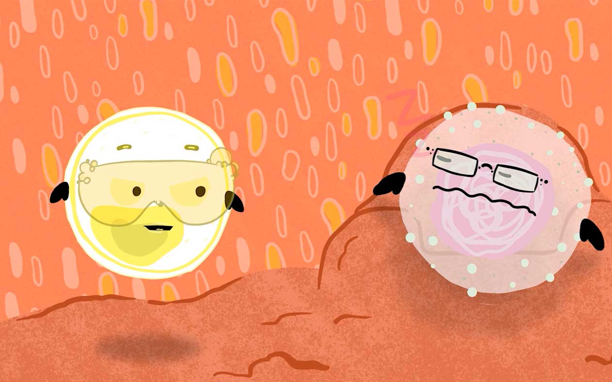 Raquel de Medeiros Deliberador